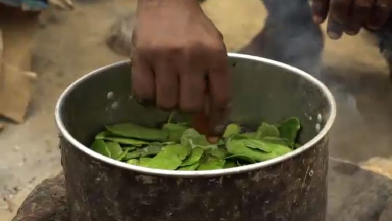 Starving Yemenis are resorting to eating leaves
