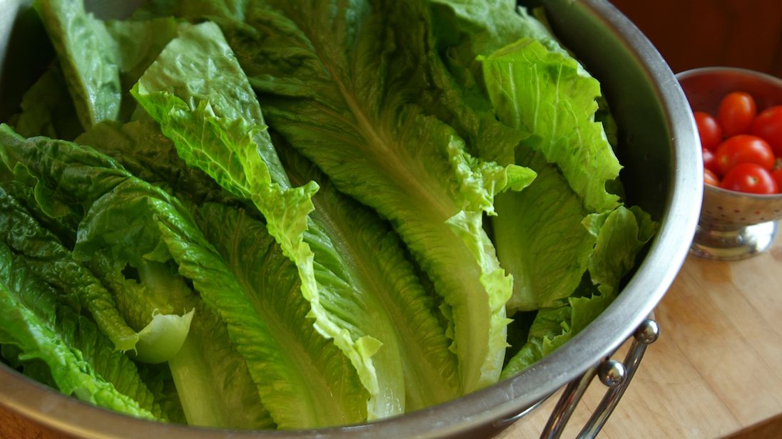 E. coli outbreak: Romaine lettuce probed in U.S. and Canada