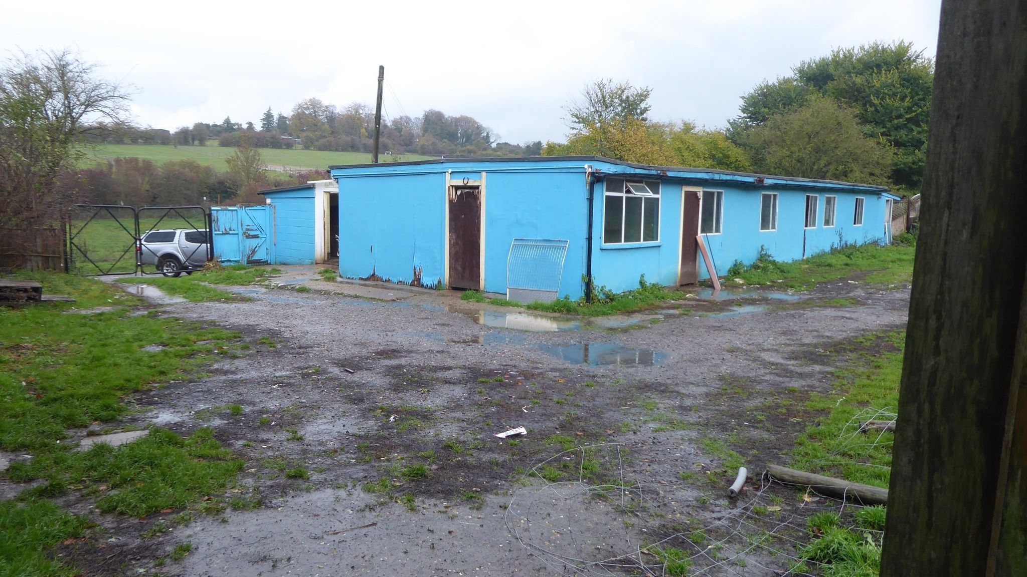 Claw marks and faeces Inside kennel housing 70 greyhounds UK News
