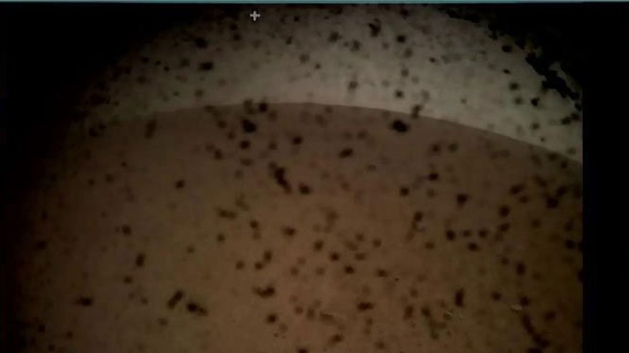 Nasas Insight Spacecraft Successfully Lands On Mars And Sends Back A