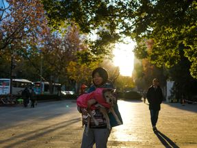 A Dog Walker In Shanghai Wenshan Has Banned Dog Walking In Daylight Hours A Dog Walker In Shanghai Wenshan Has Banned Dog Walking In Daylight Hours