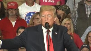 Donald Trump halts rally as member of crowd faints