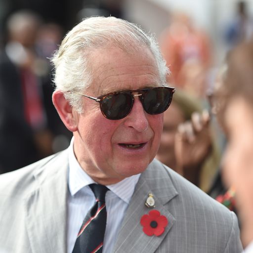 Why Charles has been accused of 'meddling'