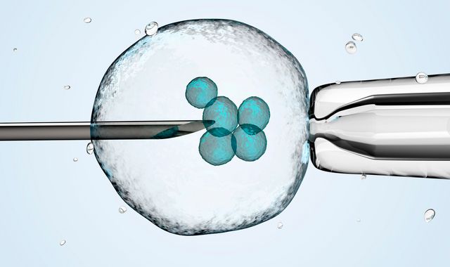 Designer baby revolution could be only two years away, research suggests