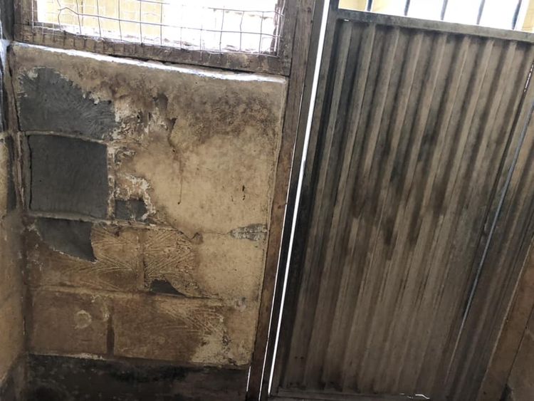Plaster had been rubbed off the walls in one of the kennels in a block used by Mr Taylor. Pic: Celia Cross Greyhound Trust