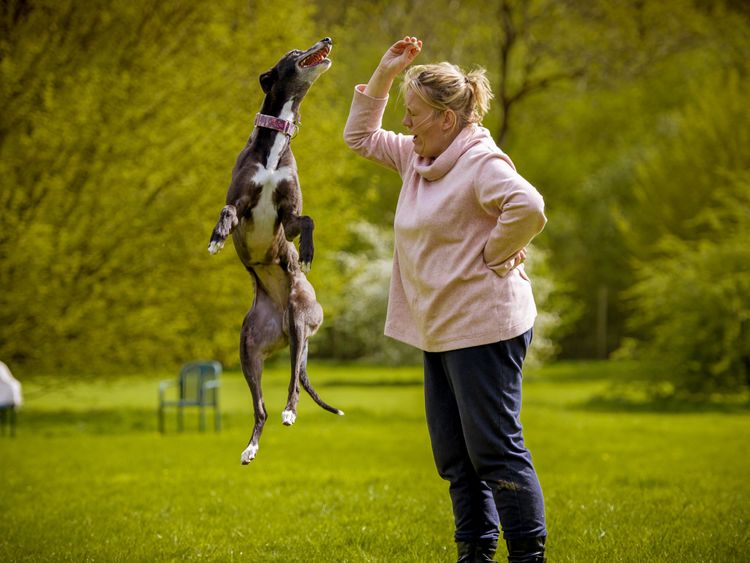 Jane Thompson was &#39;overwhelmed&#39; by the smell in Hillside kennels. Pic: Kerry Jordan Whippets Snippets