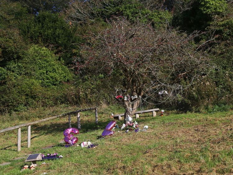 A memorial tree stands in Wild Park where the girls' bodies were found