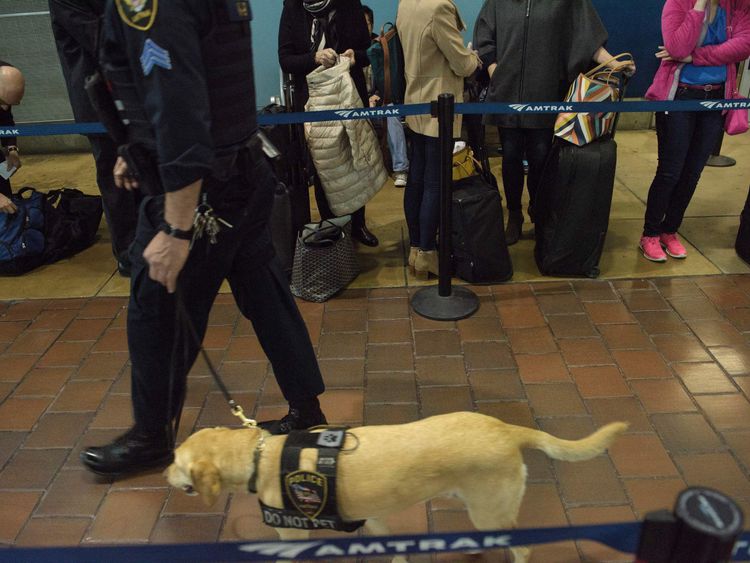 It costs nearly $10,000 (£7,790) to buy and train a police sniffer dog