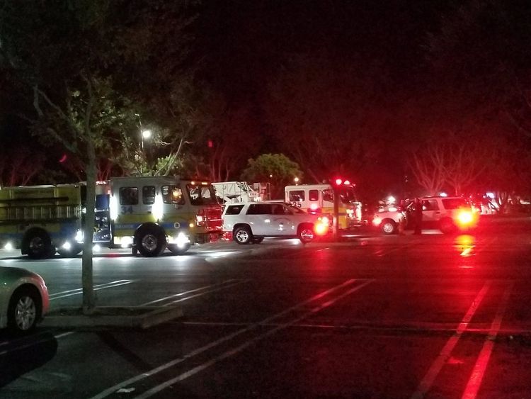 First responders outside Borderline Bar and Grill in Thousand Oaks, California