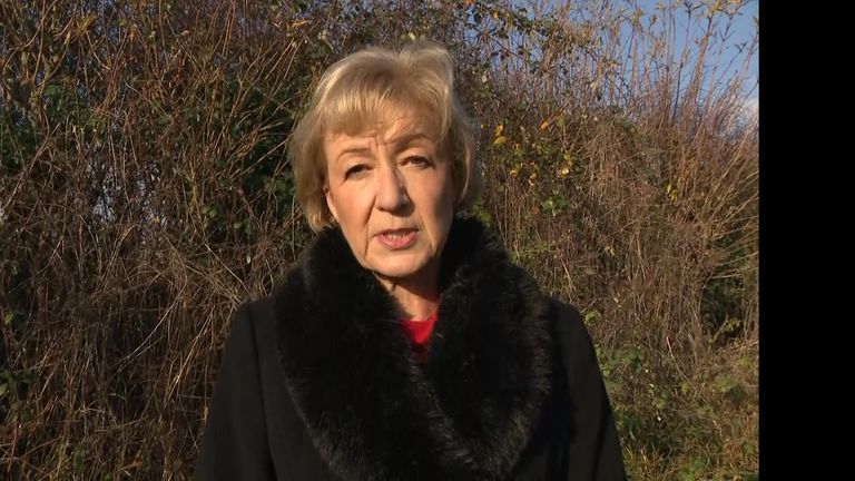 Conservative MP Andrea Leadsom says she is fully committed to getting  the best possible deal for the UK as it leaves the EU.