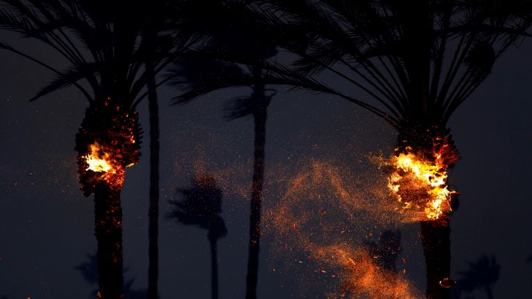 Palm trees catch fire as the Woolsey FIre burns in Malibu
