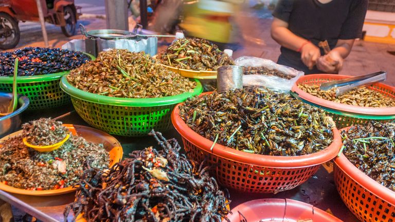 Fried insects, like these in Cambodia, are a popular food source in many parts of the world