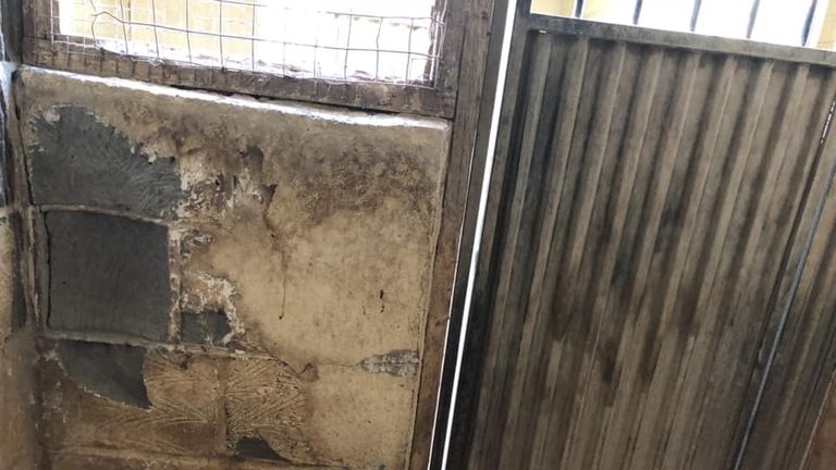 Plaster had been rubbed off the walls in one of the kennels in a block used by Mr Taylor. Pic: Celia Cross Greyhound Trust