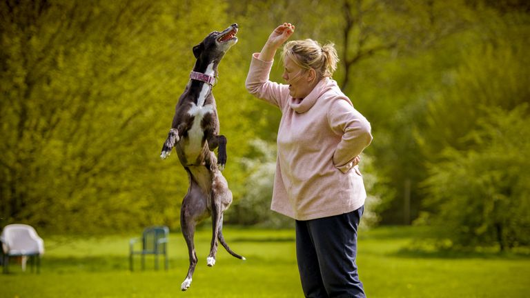Jane Thompson was &#39;overwhelmed&#39; by the smell in Hillside kennels. Pic: Kerry Jordan Whippets Snippets