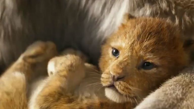 The Lion King Watch First Trailer For Remake Starring Beyonce And Donald Glover Ents Arts News Sky News