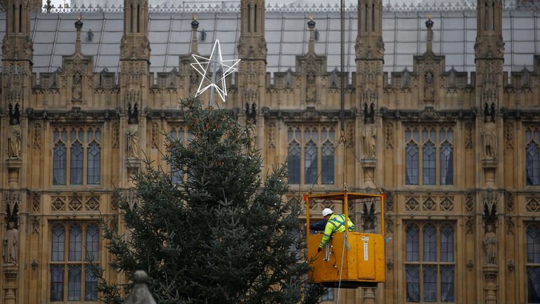 The Houses of Parliament Christmas tree is decorated be workers suspended from a crane, in central London, Britain November 24, 2018
