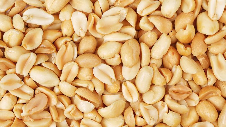 The children were gives increased doses of peanut protein