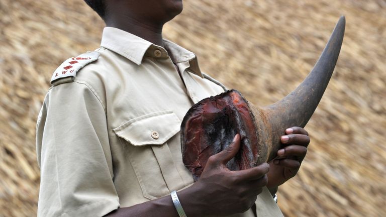 Hundreds of animals parts have been taken to the UK