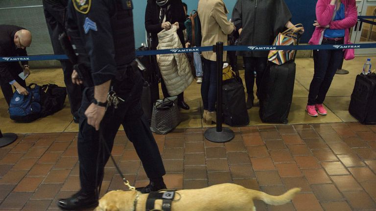It costs nearly $10,000 (£7,790) to buy and train a police sniffer dog