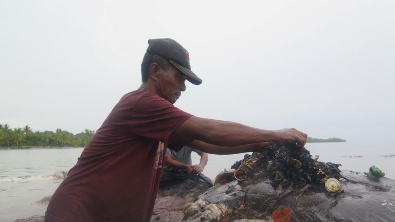 A stranded whale with plastic in his belly is seen in Wakatobi, Southeast Sulawesi, Indonesia, November 19, 2018 in this picture obtained from social media. KARTIKA SUMOLANG/via REUTERS