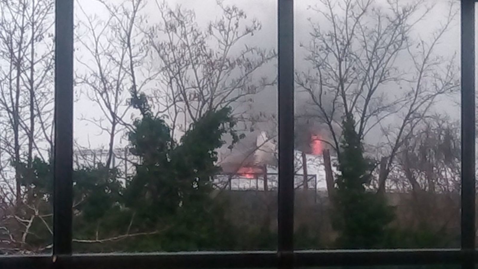 Visitors evacuated as fire breaks out at Chester Zoo UK News Sky News