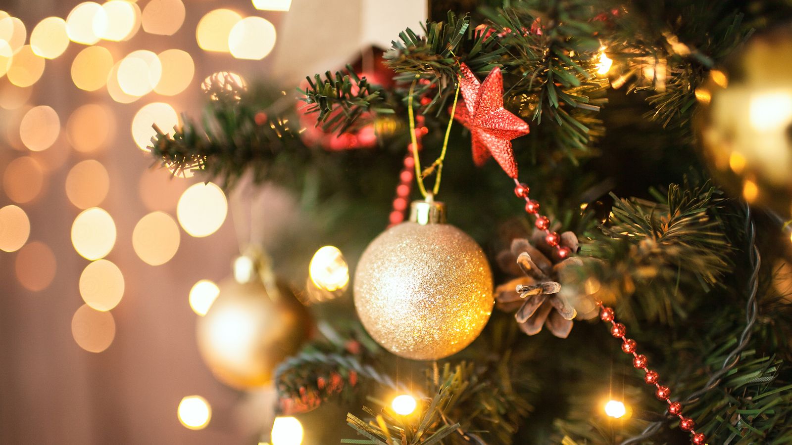 Mould Spores In Your Christmas Tree Could Make You Ill, Experts Warn 