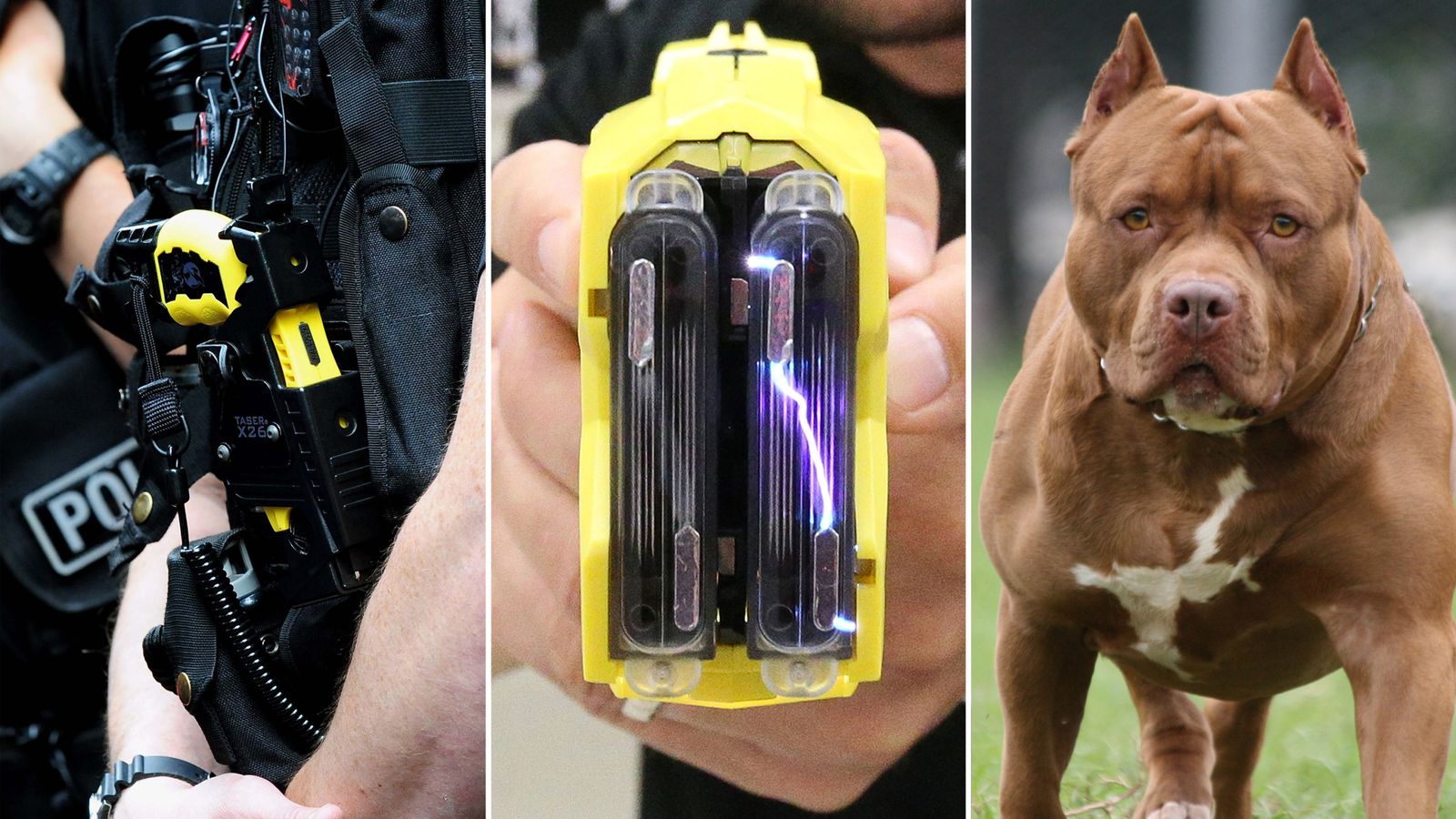 Police fired Tasers at children as young as 13 and dozens of dogs in