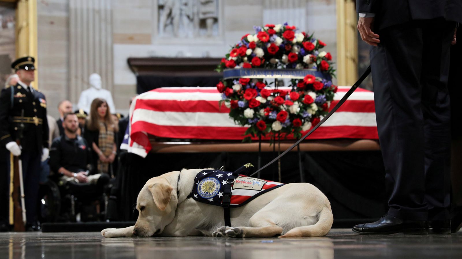 Sully the service dog visits casket of HW Bush World News