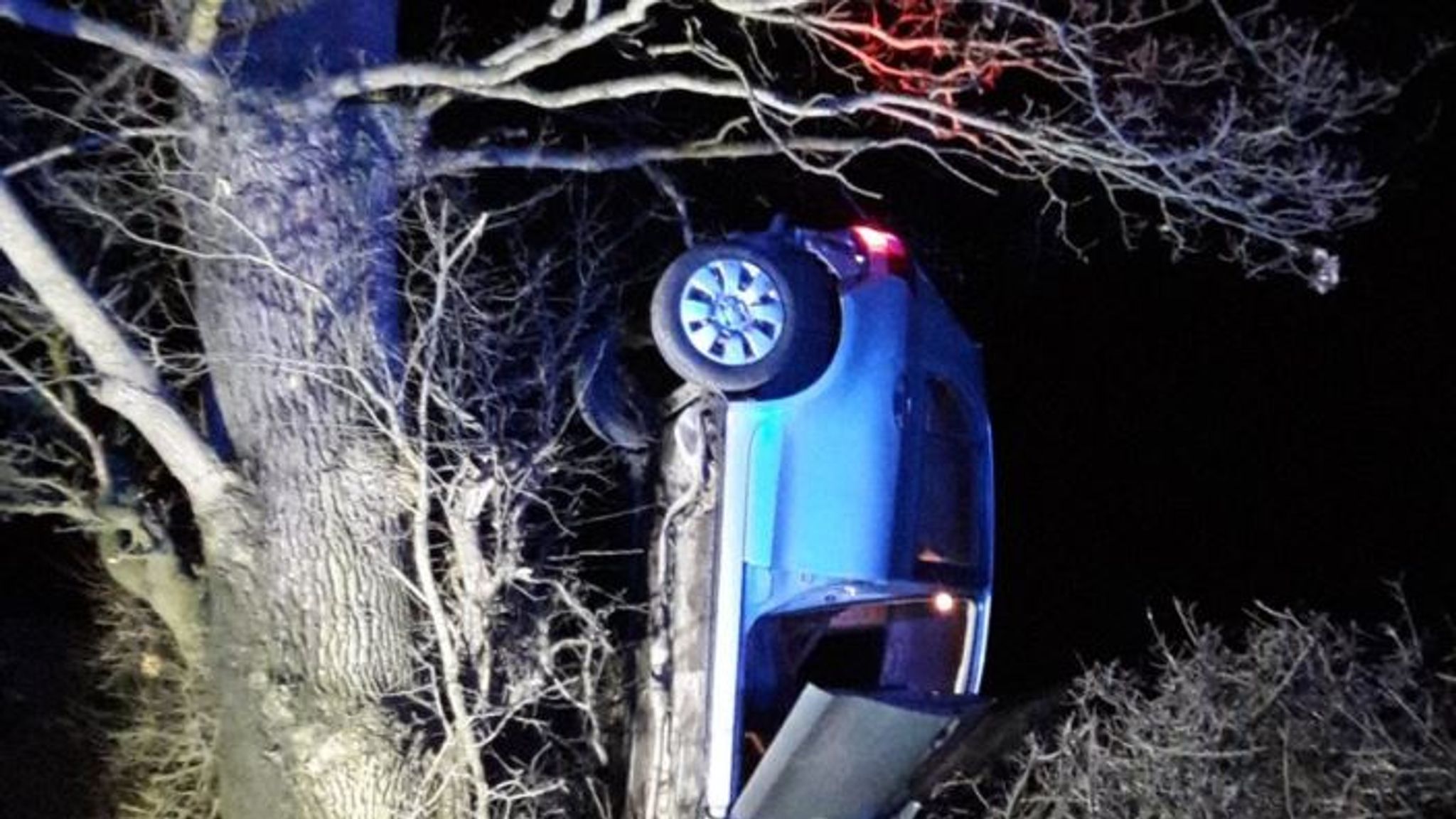 Woman arrested for suspected drink driving after car ends up in tree ...