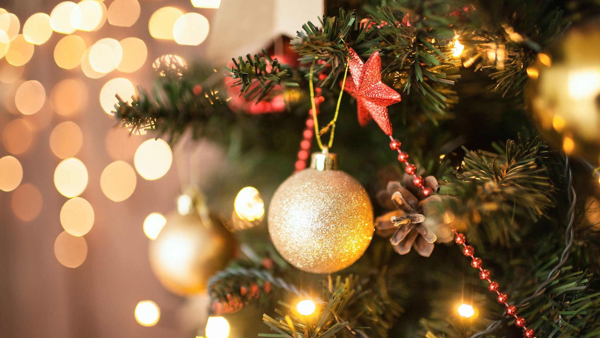 mould-spores-in-your-christmas-tree-could-make-you-ill-experts-warn