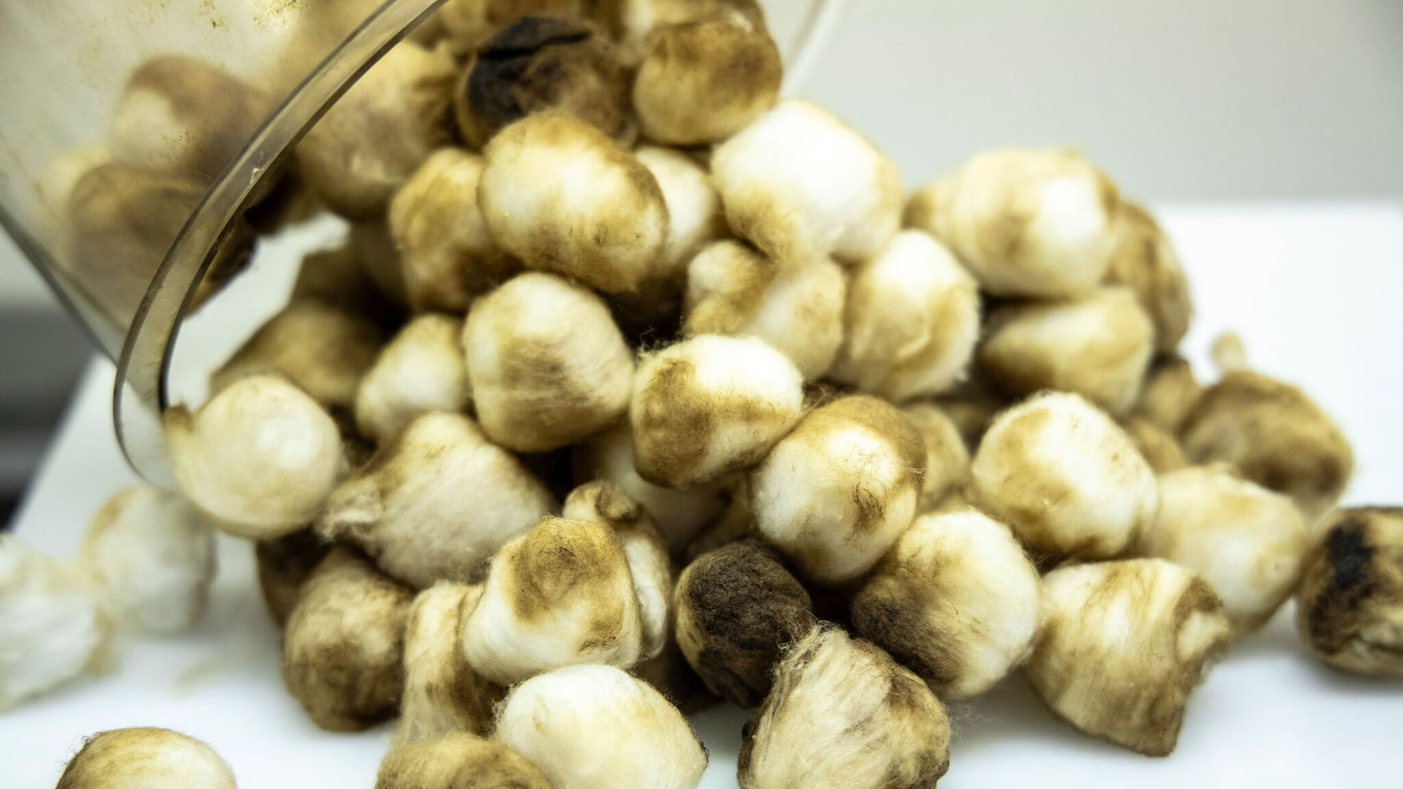 Almost half of smokers are unaware vaping is less harmful than tobacco