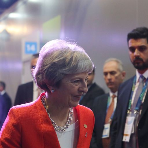 Third of MP trade envoys 'will not back Brexit plan'