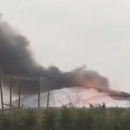 Visitors evacuated as fire breaks out at Chester Zoo