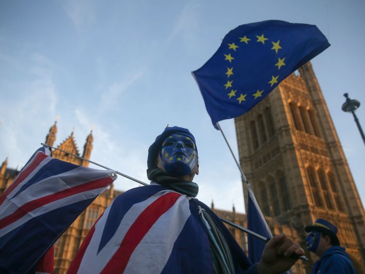 Pro-European Union demonstrators outside the Houses of Parliament