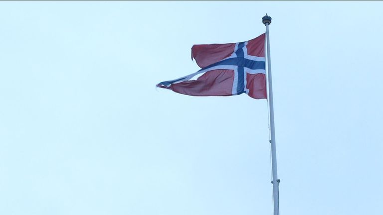 With the PM struggling to get her Brexit deal passed, an alternative that&#39;s been mooted among MPs is the so-called Norway option.
