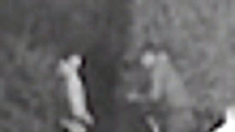 Police issued CCTV of the 'potentially really important witnesses'