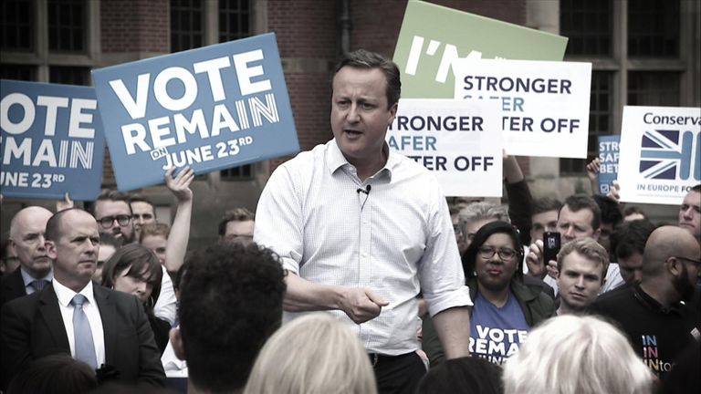 David Cameron&#39;s pleas fell on deaf ears