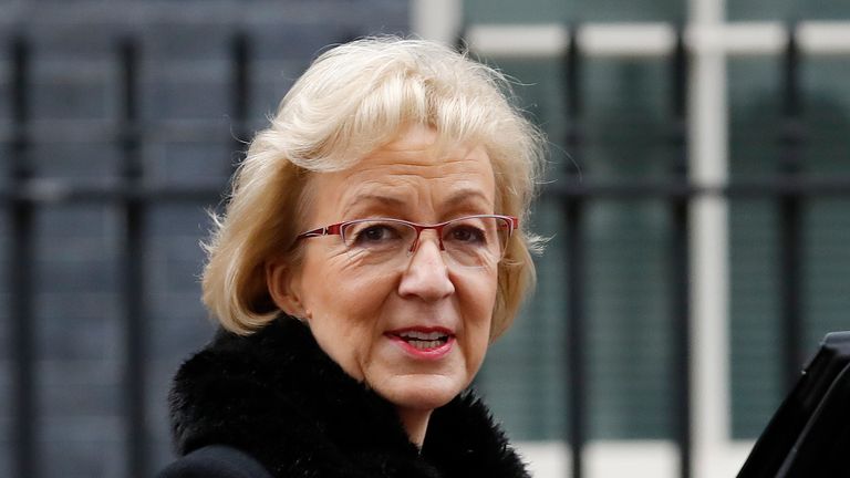 Andrea Leadsom said MPs should vote for Theresa May's deal if they don't want to leave the EU in a no deal Brexit