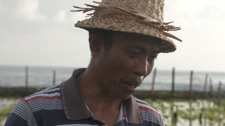 Nyoman Sudastra has been farming seaweed on Nusa Penida, an idyllic island next to Bali in Indonesia, for more than 20 years.