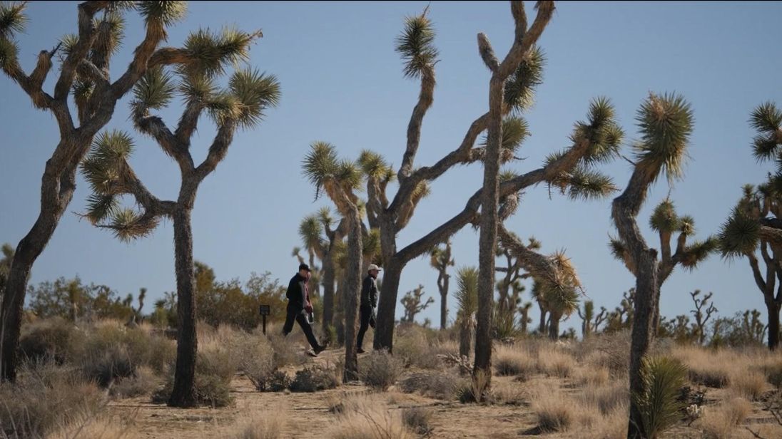 Shutdown: Three People Die as National Parks Left Largely Unpatrolled