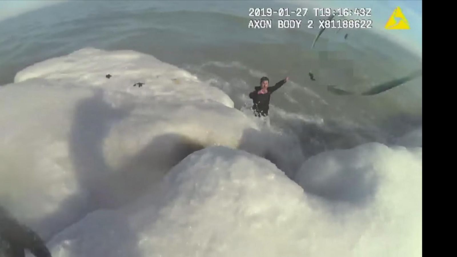Man rescued after jumping in icy lake to save dog | US News | Sky News