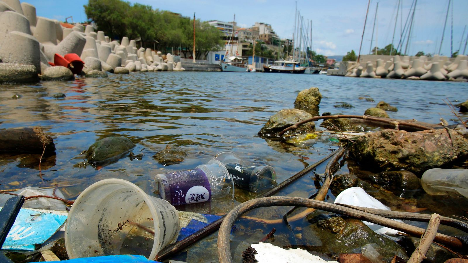 Perfect storm of threats is destroying marine life, new report warns