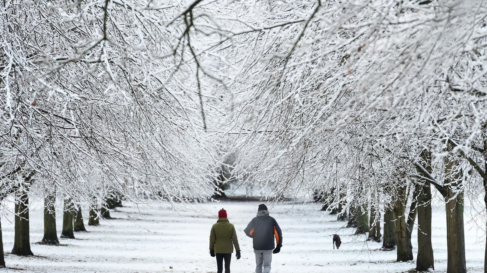 Send us your snow photos and videos UK News Sky News