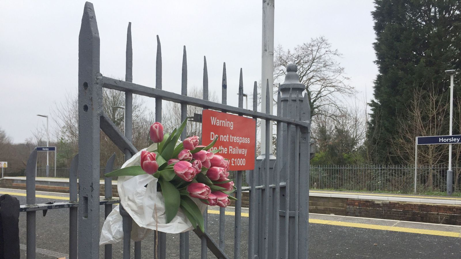 Man And Woman Arrested After Surrey Train Stabbing | UK News | Sky News