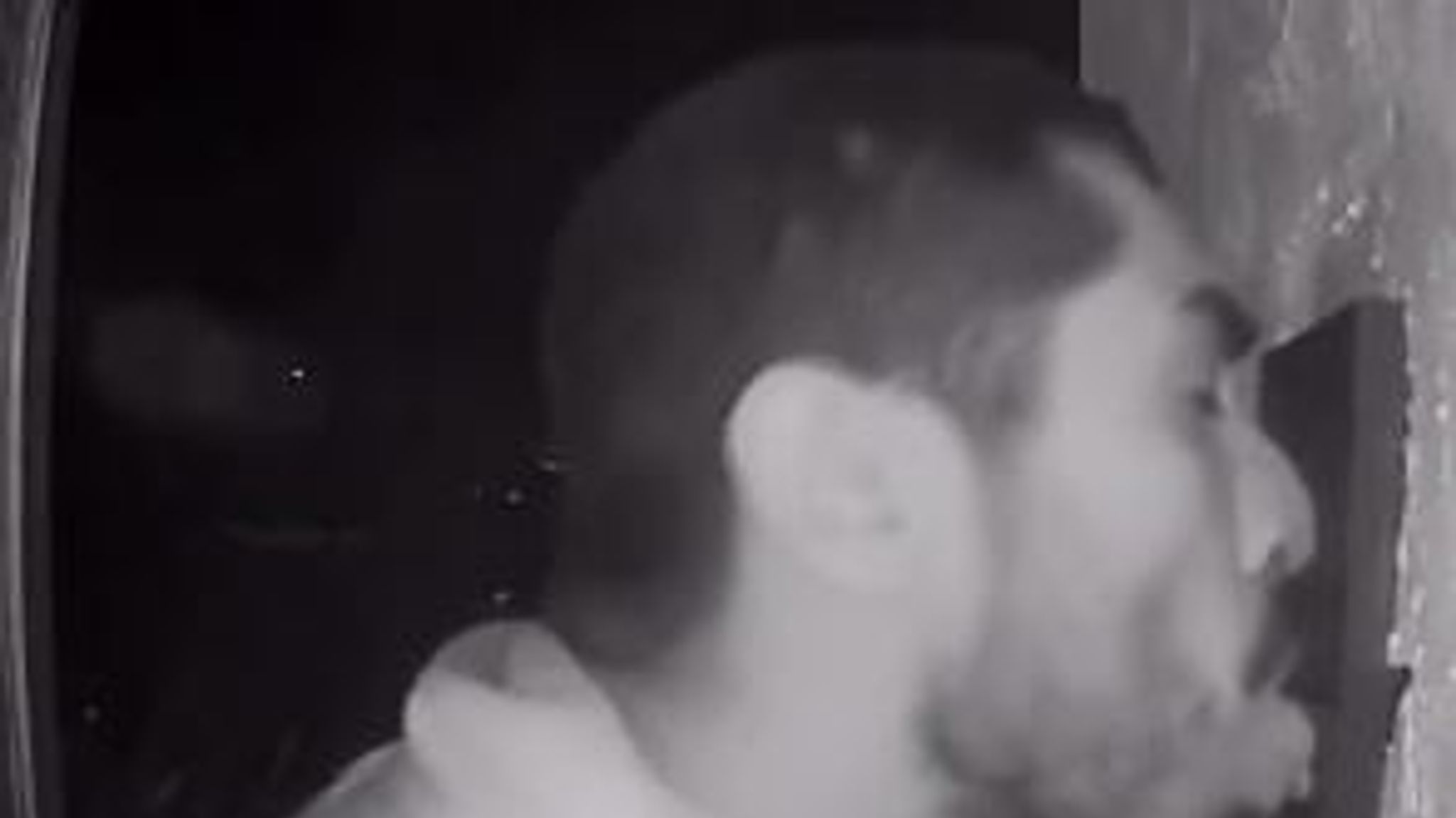 Doorbell licker caught on CCTV