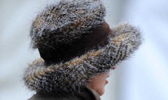 New sanctions for retailers selling real fur as faux New sanctions for retailers selling real fur as faux