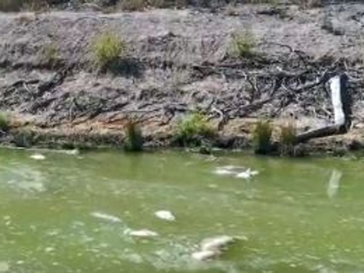 Locals accused the government of mismanaging the Murray-Darling River Basin. Pic: Jeremy Buckingham