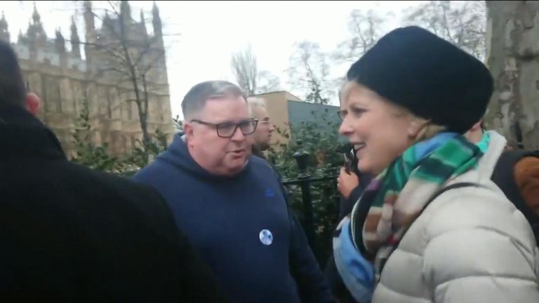 Conservative MP Anna Soubry encounters protesters outside parliament