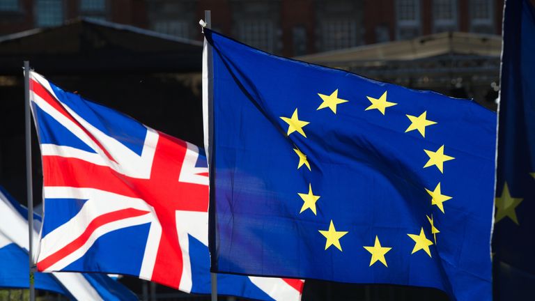 Anti-Brexit campaigners wave Union and European Union flags outside the Houses of Parliament