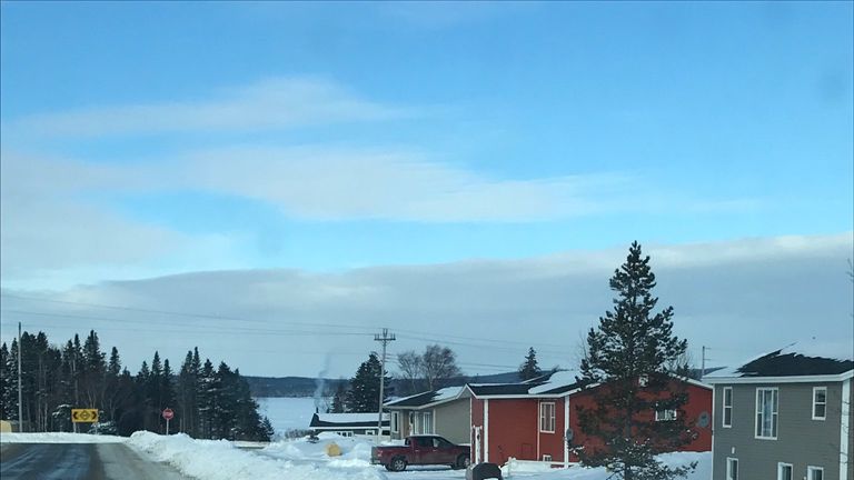 Two seals have died after being hit by cars. Pic: Brendon Fitzpatrick
